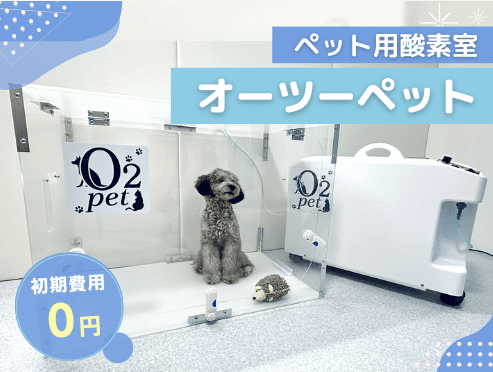O2ペット　オーツーチャージ　ペット用酸素室　ケージ 楽天市場】オーツーペット ペット 酸素室 酸素濃縮器 専用ケージ